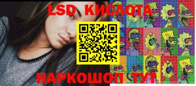 СК Волгодонск