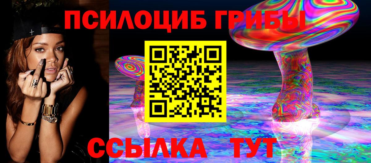 Курган  Псилоцибиновые грибы прущие грибы  Вход с VPN 